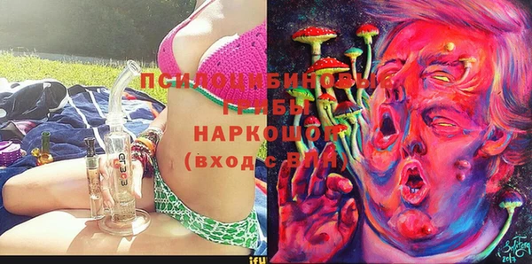 МДПВ Лиски
